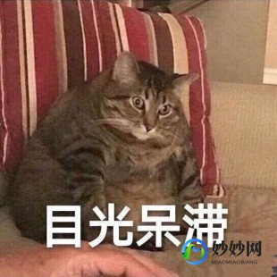 目光呆滞,目光呆滞怎么回事