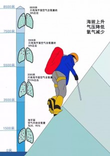 高反能喝酒吗,高原反应会诱发心肌梗塞吗？如何预防高原反应