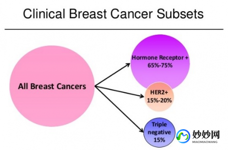 三阴乳腺癌化疗方案,三阴乳癌最佳化疗方案