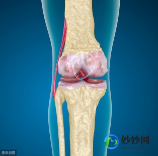 半月板的作用,半月板有什么作用