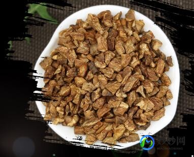 菊苣根能降尿酸吗,菊苣根能降尿酸吗