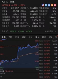 【转载】苹果股价下跌 知名分析师预计2025年iPhone出货量不及预期