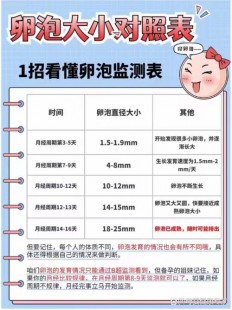 卵泡大小参照表,卵泡生长速度对照表分享,发育快慢都有标准