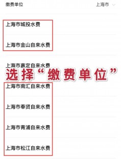 在线充话费,手机话费轻松在线交,手机能否交话费及操作指南一览