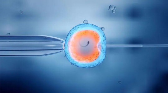 男子弱精情况下试管婴儿成功率揭秘与影响因素分析