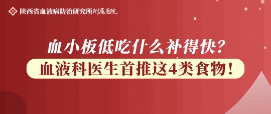 吃啥能补血小板,血小板低吃什么补的快