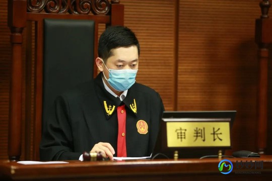 哪个浏览器最省流量,揭秘省流量神器,手机浏览器推荐,选对不浪费流量