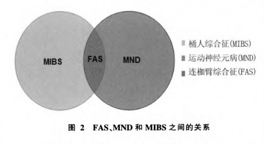 mns是什么,mns医学上是什么意思