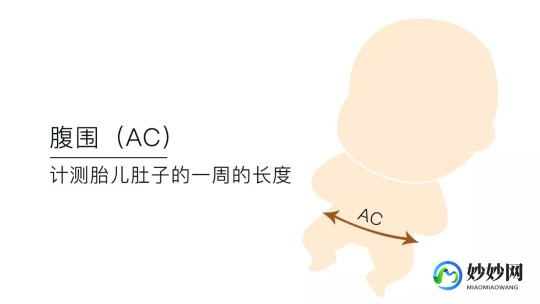 三维彩超,做三维彩超好还是彩超好