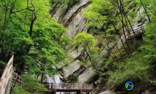 巨龙所知道的,揭秘巨龙之秘探索巨龙所知道的游戏世界巨龙游戏攻略