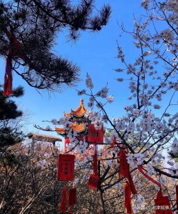 爬山伤膝盖吗,爬山对膝盖有损伤吗
