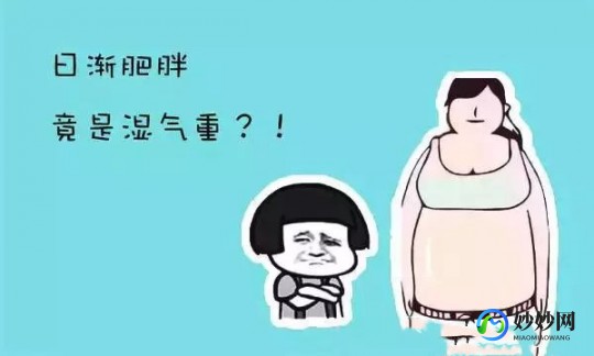 湿气重会发胖吗,湿气重会发胖吗