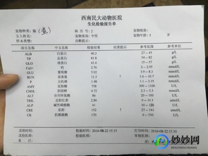 尿素氮偏高,尿素氮高是怎么回事