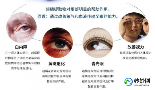 e眼,维生素e进眼睛里了有危害吗