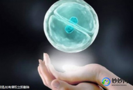 遵义试管可以报销哪部分费用？费用和生育指南!