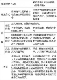 体液免疫,体液免疫与细胞免疫的区别