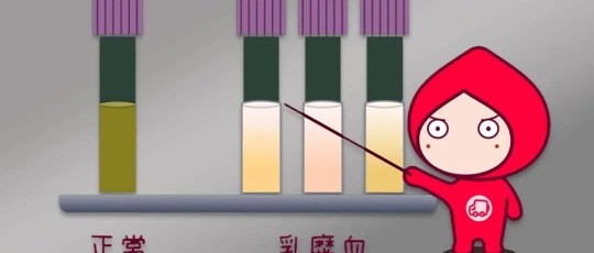 乳糜血,采血时乳糜血是怎么回事