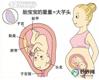 孕32周,怀孕32周要注意什么