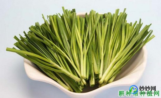 孕妇吃韭菜,请问怀孕了能吃韭菜吗