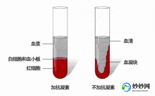 血浆蛋白是什么,血浆蛋白就是血红蛋白吗