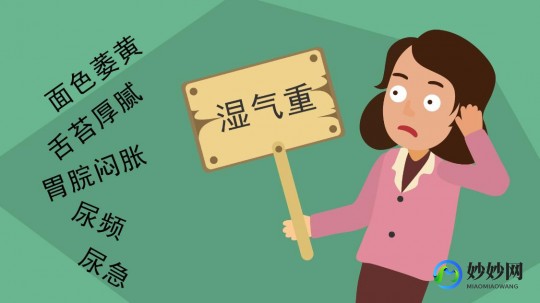 拔火罐能除湿气吗,拔火罐去湿气真的有用吗