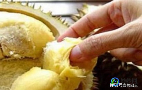 孕妇能吃榴莲吗,怀孕期间可以吃榴莲吗