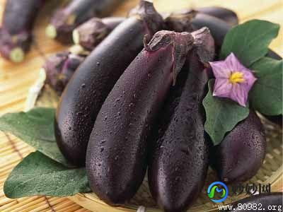 茄子孕妇能吃吗,怀孕茄子能吃吗