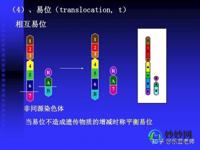 平衡易位携带者,平衡易位和罗伯逊易位区别科普,谁对生育影响大看完明了