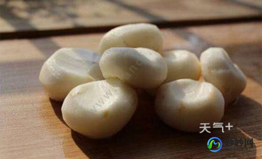 孕妇能吃马蹄吗,孕妇能吃荸荠吗