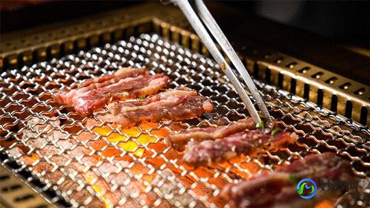 什么是横膈膜,横膈膜是什么部位
