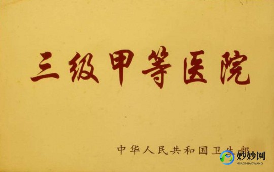 三级甲等,二甲与三甲哪个级别高