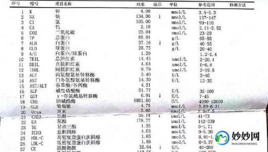 中性细胞数偏低,中性粒细胞计数偏低