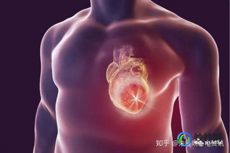 心跳过快的原因,心跳过快的原因