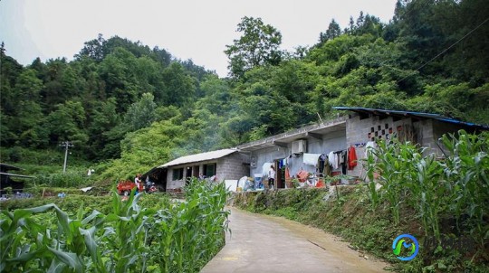 建卡是什么意思,孕妇建档流程、费用、证件资料-建卡检查项目及注意事项...