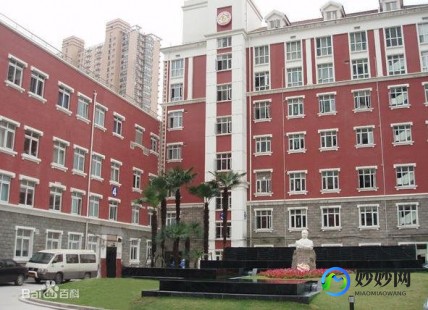 红房子妇幼保健院,上海生孩子医院排名前十名,有哪些公立医院？