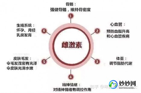 雌性荷尔蒙,雌性荷尔蒙是什么意思？