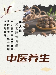 胖大海泡水,胖大海的正确泡法
