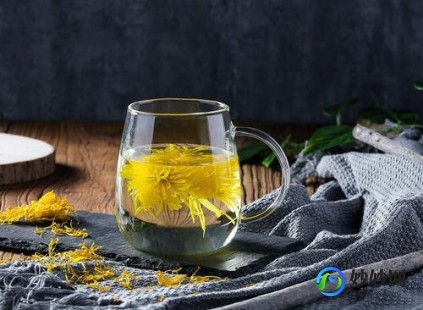 白菊花茶,喝白菊花茶有什么好处和坏处