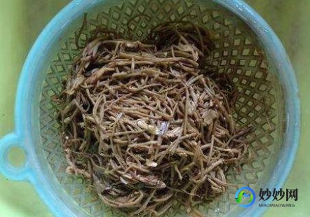 吃菱角有什么好处,菱角的营养功效和适宜人群