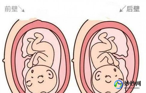 如何确定没有怀孕,怎么看出有没有怀孕