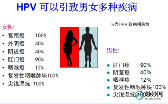 hpv传播方式,HPV如何传染