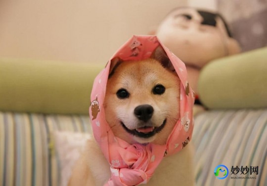 两次月经,每个月来两次月经正常吗