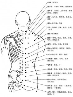 人体多少个穴位,中医按摩常用的穴位有哪些