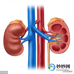 临床诊断,临床诊断是检查前还是检查后