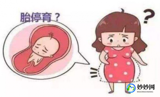 免疫排斥,母体免疫系统排斥胚胎有哪些解决办法可处理？