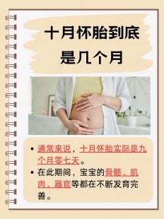 怀胎几月,怀胎几个月正常怀胎几个月足月