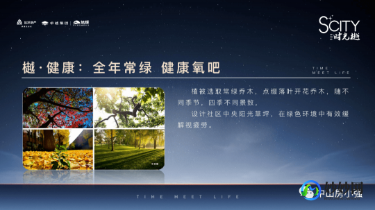 所部首,所以中的所部首解析及组词技巧