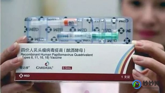4价hpv疫苗,四价疫苗是什么