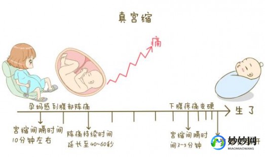 分娩阵痛,孕妇预产期肚子阵痛
