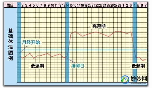 什么时候是排卵期,排卵期是什么时候开始